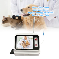 Sunrise 30W 980nm High-Power Medical Laser System - Surgical & Veterinary Use