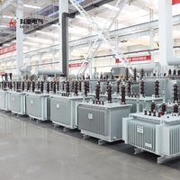 Transformateur abaisseur triphasé 11/15 kV 100/315 kVA 630 kVA 1000 kVA 1600 kVA immergé dans l'huile pour distribution électrique