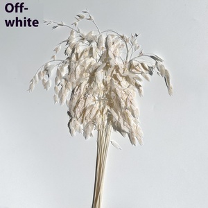 Fleurs Éternelles Petite Espoir <span class=keywords><strong>LYP</strong></span> Bouquet Naturel de Pampas Séchées Longue Durée Saint-Valentin Pâques Noël Fête des Mères - Product Image 5