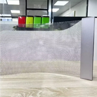 Film LED Flexible P6 pour Fenêtre Intérieur/Extérieur, Grande Vente, Adhésion à l'Eau, Transparence TV jusqu'à 90% Effet Cristal