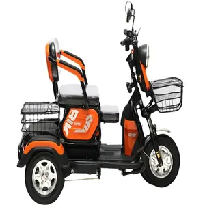 800W Elektrische Driewieler Huishoudelijke Kleine Scooter Driezits Verstelbare Elektrische Driewieler 2 Persoons Driewieler