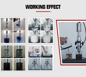 Máquina Homogeneizadora Ultrasónica de Laboratorio para Disrupción Celular, Lisis de Bacterias y Extracción Microbiana - Product Image 5