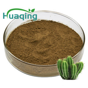 De alta calidad de <span class=keywords><strong>Hoodia</strong></span> <span class=keywords><strong>Gordonii</strong></span> polvo de extracto de <span class=keywords><strong>Hoodia</strong></span> <span class=keywords><strong>Gordonii</strong></span> - Product Image 2