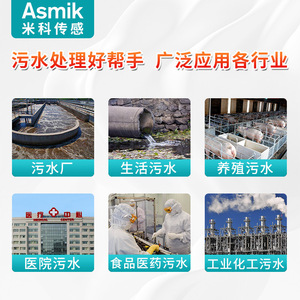 pH-mètre en ligne Asmik 0-14 pH, précision 0,02 pH, capteur pour le traitement des eaux usées industrielles avec sonde externe - Product Image 4