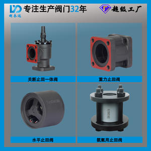 Válvula de Retención Liyongda DN40 a DN125 de Hierro Fundido con Brida para Amoníaco, Válvula Unidireccional Hecha a Medida para Refrigeración y Aire Acondicionado - Product Image 3