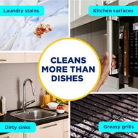 Liquide à vaisselle OEM du fournisseur chinois Détergent à vaisselle de cuisine pour la maison Détergents liquides de haute qualité