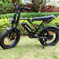 Vélo électrique rétro à gros pneus, 20 pouces, homologué CE, FCC, RoHS, double suspension, étanche, directement de l'usine