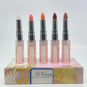 2026 ODM/ODM Matte Lipstick <b>Set</b> for Women-Vegan Formula Moisturizing Long-Lasting Waterproof Finish Private Label Wholesale 5 - Product Image 6