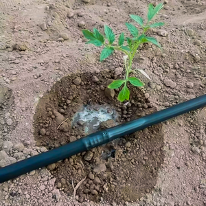 <span class=keywords><strong>Tuyau</strong></span> d'irrigation <span class=keywords><strong>goutte</strong></span>-à-<span class=keywords><strong>goutte</strong></span> intégré résistant aux UV, diamètre <span class=keywords><strong>16</strong></span> mm, débit 2/3 L, émetteurs en ligne, <span class=keywords><strong>tuyau</strong></span> en plastique économiseur d'eau, rouleau de 500 m - Product Image 6