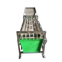 Elektrische motor multifunctionele tomaten aardappel ui mango appel sinaasappel formaat optische sorteer- en sorteermachine fruit groente 304