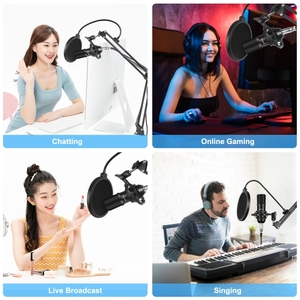 Juego de tarjetas de sonido PULUZ Studio Broadcast Kits de micrófono de canto profesional Micrófono de condensador de estudio de grabación <span class=keywords><strong>en</strong></span> <span class=keywords><strong>vivo</strong></span> - Product Image 5