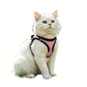 Ensemble laisse et harnais pour petits chiens et chats, rubans en nylon écologiques réfléchissants lumineux, décoration anti-casse, design respirant - Product Image 6