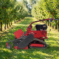 Désherbeuse à essence agricole à prix abordable – Équipement et outils agricoles