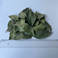 Daun Salam Turki Utuh 5-10cm Alami Kering Kelas Satu Bersertifikat ISO/HACCP Kualitas Tinggi Proses AD Mentah Panen Terbaru