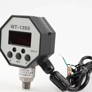 Manómetro digital octogonal de PP para Europa, con carcasa y conector WT1350, marca <span class=keywords><strong>SNT</strong></span>, 1 año de garantía - Product Image 1