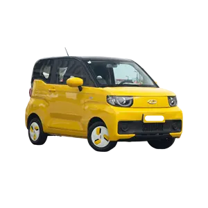 2024 Precios bajos Pequeño Min Chery QQ Helado Niñas Cuatro ruedas 100% Coche eléctrico Vehículo
