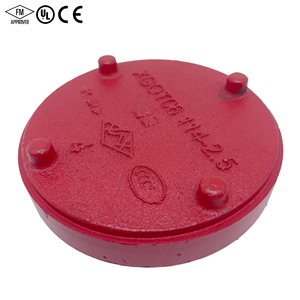 Adaptateur à bride rainurée certifié FM UL, raccords de tuyauterie en fonte ductile pour la protection incendie - Product Image 3