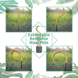 Máy Cocopeat Chất Nền Xơ Dừa Đất Sinh Thái Sợi Dừa 8 Qt Que Xơ Dừa Sợi Xơ Dừa - Product Image 4