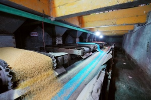 Nông nghiệp cấp hạt số lượng lớn trộn Phân bón <span class=keywords><strong>NPK</strong></span> 26-12-<span class=keywords><strong>13</strong></span> kiểm soát phát hành OEM - Product Image 6