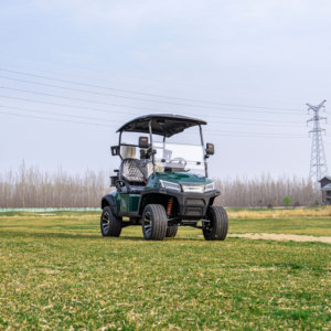 Supply Golf Buggy <b>2</b> <b>Passenger</b> Cart Seat Model for Resort & Villa - Product Image 3