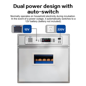 Incubadora <span class=keywords><strong>de</strong></span> <span class=keywords><strong>Huevos</strong></span> Inteligente Totalmente Automática <span class=keywords><strong>de</strong></span> Última Generación - Incubadora Automática con Capacidad para 240 <span class=keywords><strong>Huevos</strong></span>, Alimentación CA 220V/12V, Modelo <span class=keywords><strong>de</strong></span> Ahorro <span class=keywords><strong>de</strong></span> Energía - Product Image 5
