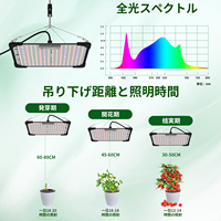 Lampe de croissance des plantes LED intelligente de type panneau 60W avec contrôle réglable du temps et de la luminosité