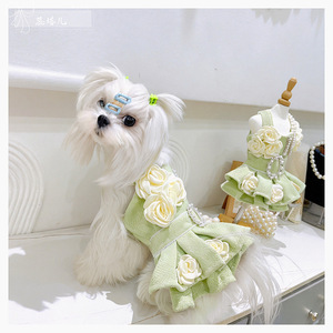Vestido de Lujo para Perro Pequeño, Falda de Lana Estilo Princesa, Diseño de Rosas, Anillo de Perlas, Color Verde Matcha, Otoño Invierno - Product Image 5