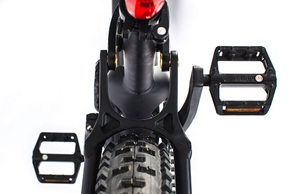 QUEENE/Noël Bonus Elyxsmart VTT 48V Bafang Mid Drive Moteur Vélo Électrique Adulte Free Ride Vélo - Product Image 4