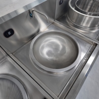Équipement de cuisine professionnelle, cuisinière à induction électrique avec un wok et un réchaud à soupe, pour hôtel et restaurant