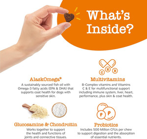 Supplément de vitamine <span class=keywords><strong>calcium</strong></span> OEM pour chiens et chats 8 en 1 multivitamines aliments pour animaux domestiques à mâcher soins de santé et suppléments pour animaux de compagnie - Product Image 3
