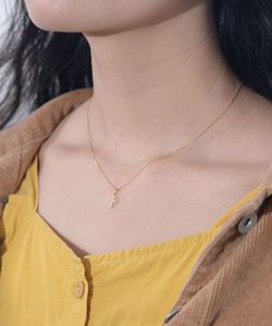 Collar con dije de acero inoxidable, joyería de marca privada, estándar europeo, con eslabones huecos de metal, peso. - Product Image 5
