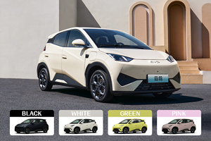 Coche Eléctrico BYD Seagull de <span class=keywords><strong>4</strong></span> Plazas, Vehículo de Nueva Energía 2023-2025, BYD Seagull 2024, 405 km de Autonomía, Auto Eléctrico - Product Image 2