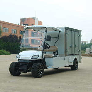 Shininglsv 중국 스테인레스 스틸 전기 골프 카트 가사 식품 공급 기타 목적을위한 버기 - Product Image 2