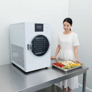 Secador por Congelación de Uso Doméstico de 10 kg <span class=keywords><strong>a</strong></span> 20 kg, Máquina de Secado por Congelación al Vacío Comercial para Dulces, Mariscos y Vegetales, con Certificación CE - Product Image 3