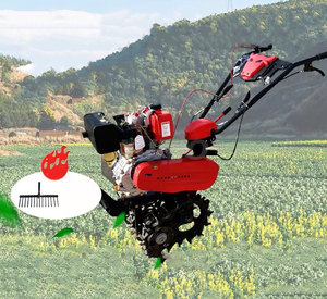 Cultivateur de montagne à double chaîne à prix raisonnable - Product Image 5