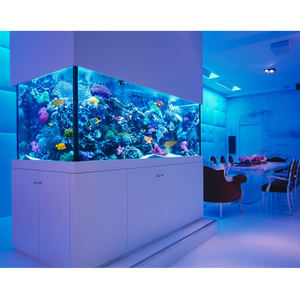 Fabrik-Acryl-<span class=keywords><strong>Aquarium</strong></span> von Leyu <span class=keywords><strong>Acrylic</strong></span>, Maßgefertigtes 2m langes großes Aquarienbecken@ - Product Image 2