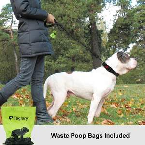 Taglory Nylon Rope <span class=keywords><strong>Dog</strong></span> Leash Ribbons 6 FT Cómodo mango acolchado Hilos altamente reflectantes para perros medianos/grandes 1/2 pulgadas - Product Image 2