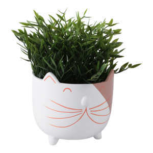 Vaso in ceramica con piedini a forma di baffi di gattino per decorazioni per la casa, interno ed esterno. - Product Image 2