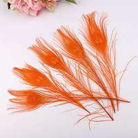 Haute Qualité Blanchi Teint Blanc Paon Yeux Plume Décoration Inde Paon Queue Plumage pour Artisanat Bijoux