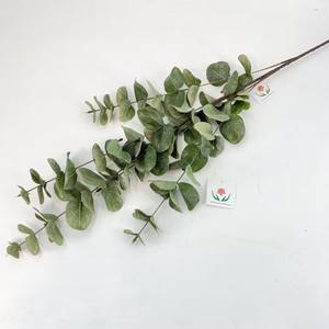 Prezzo all'ingrosso nuovo Design lungo stelo artificiale foglie di eucalipto verde fogliame pianta per la decorazione per la casa o decorazione di nozze - Product Image 4