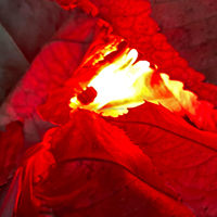 HT 6 pièces Nocks de tir à l'arc lumineux LED pour la chasse, couleurs rouge/vert/bleu X H S G, Nocks d'arc automatiques lumineux 5.2mm 6.2mm pour arc à poulies