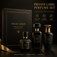 Distributeurs de produits de beauté, vente en gros de coffrets cadeaux de parfums miniatures de luxe personnalisés pour femmes et hommes, longue durée