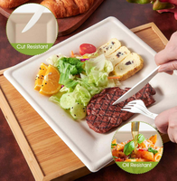 SINCERE Factory Wholesale Modern Disposable Eco Sugarcane Bagasse Square Plates Trays 8 Inch Shandong for Party