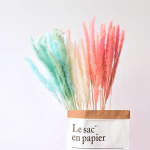 Decoración de Halloween Flor Hogar Arreglo floral Flor seca Reed Flower Bouquet Small Reed Grass <span class=keywords><strong>Pampas</strong></span> - Product Image 5