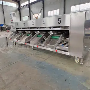 Commercial Automatic Carrot Potato Cleaning Size Grader Fruit Sorting Machine