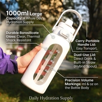 Bouteille d'eau en verre borosilicate de 1000 ml avec couvercle à paille et poignée |   Gobelet de voyage portable à double bec verseur B2B