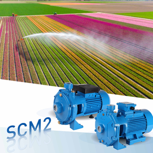 1HP Pompe à eau électrique à double turbine Pompe à incendie centrifuge en fer Pompe électrique à un étage Agriculture disponible - Product Image 6