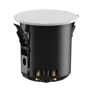 Ck30c HD Trong Trần Class D Âm Nhạc 30W Khuếch Đại Công Suất Âm Thanh Nhà Loa - Product Image 1