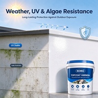 Vernis transparent à base d'eau KOBG pour revêtement de texture de peinture sur pierre naturelle et marbre, application au pinceau, résistant aux intempéries, liquide