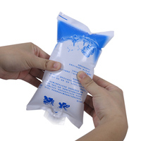 Sacs réutilisables à injection d'eau pour la conservation au froid, feuilles de gel réfrigérant pour l'expédition et la livraison de produits alimentaires frais
